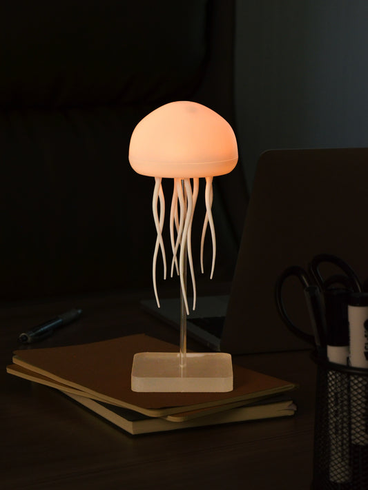 Jellyfish Lamp